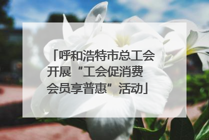 呼和浩特市总工会开展“工会促消费 会员享普惠”活动