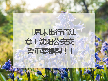 周末出行请注意！沈阳公安交警重要提醒！