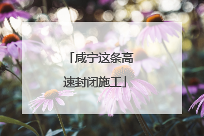 咸宁这条高速封闭施工