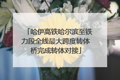 哈伊高铁哈尔滨至铁力段全线最大跨度转体桥完成转体对接
