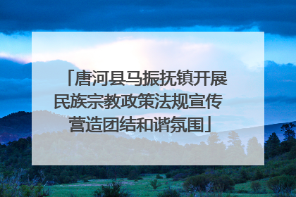 唐河县马振抚镇开展民族宗教政策法规宣传 营造团结和谐氛围