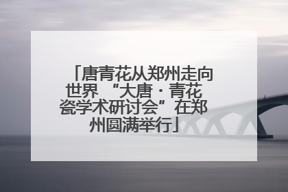 唐青花从郑州走向世界 “大唐・青花瓷学术研讨会”在郑州圆满举行