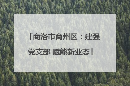 商洛市商州区：建强党支部 赋能新业态
