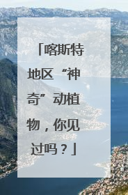 喀斯特地区“神奇”动植物，你见过吗？