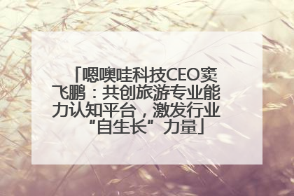 嗯噢哇科技CEO窦飞鹏：共创旅游专业能力认知平台，激发行业“自生长”力量