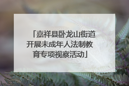 嘉祥县卧龙山街道开展未成年人法制教育专项视察活动