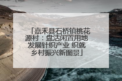 嘉禾县石桥镇桃花源村：盘活闲置用地发展针织产业 织就乡村振兴新图景