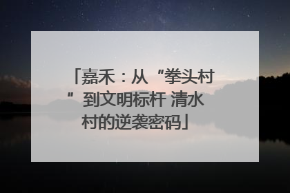 嘉禾：从“拳头村”到文明标杆 清水村的逆袭密码