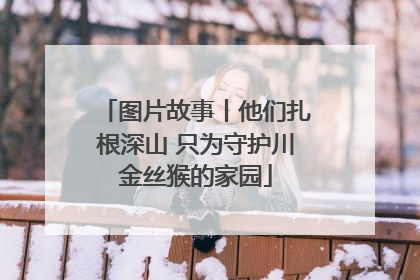 图片故事丨他们扎根深山 只为守护川金丝猴的家园