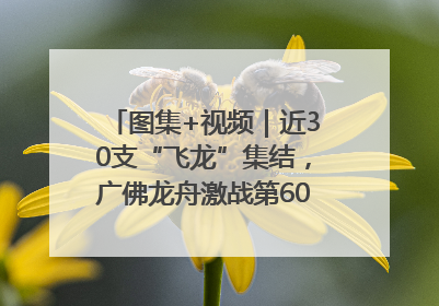 图集+视频｜近30支“飞龙”集结，广佛龙舟激战第60届荔湾“沙溪景”