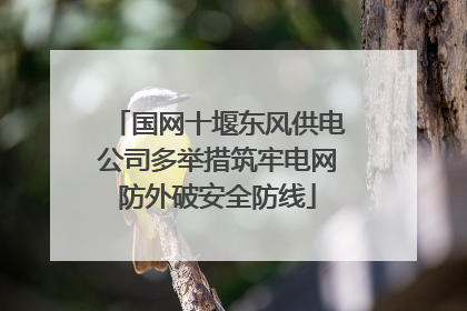 国网十堰东风供电公司多举措筑牢电网防外破安全防线