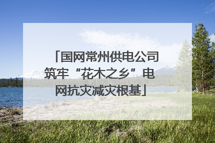 国网常州供电公司筑牢“花木之乡”电网抗灾减灾根基