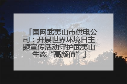 国网武夷山市供电公司：开展世界环境日主题宣传活动守护武夷山生态“高颜值”