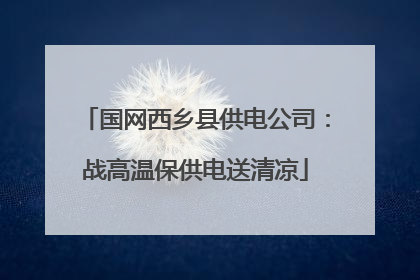 国网西乡县供电公司：战高温保供电送清凉