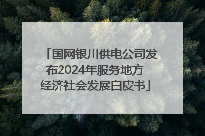 国网银川供电公司发布2024年服务地方经济社会发展白皮书