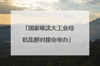 国家级沈大工业母机集群对接会举办