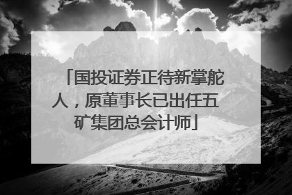 国投证券正待新掌舵人，原董事长已出任五矿集团总会计师