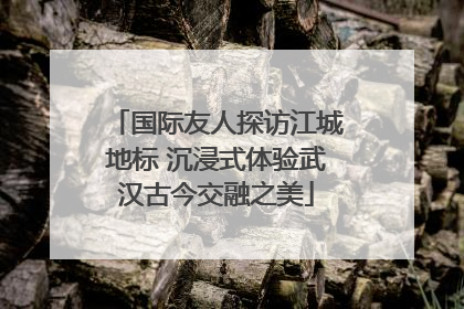 国际友人探访江城地标 沉浸式体验武汉古今交融之美