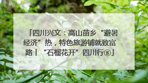 四川兴文：高山苗乡“避暑经济”热，特色旅游铺就致富路丨“石榴花开”四川行⑧