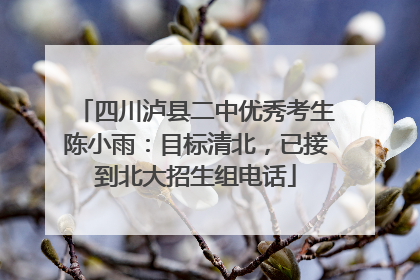四川泸县二中优秀考生陈小雨：目标清北，已接到北大招生组电话