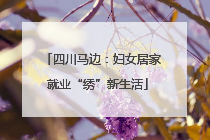 四川马边：妇女居家就业“绣”新生活