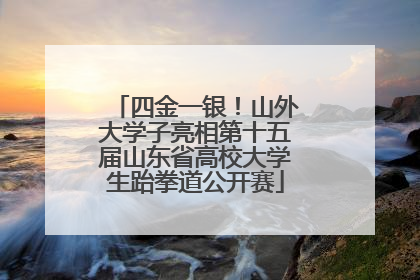 四金一银！山外大学子亮相第十五届山东省高校大学生跆拳道公开赛