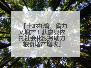 土地托管、省力又增产！获嘉县依托社会化服务助力粮食增产增收