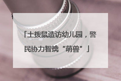 土拨鼠造访幼儿园，警民协力智擒“萌兽”