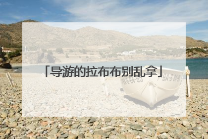导游的拉布布别乱拿