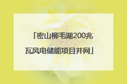 密山柳毛湖200兆瓦风电储能项目并网