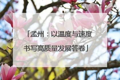 孟州：以温度与速度书写高质量发展答卷
