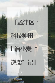 孟津区：科技种田 上演小麦“逆袭”记