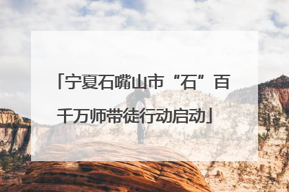 宁夏石嘴山市“石”百千万师带徒行动启动