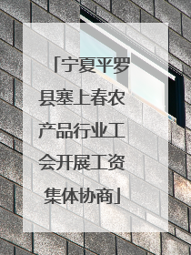 宁夏平罗县塞上春农产品行业工会开展工资集体协商