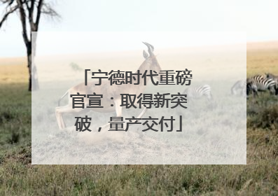 宁德时代重磅官宣：取得新突破，量产交付