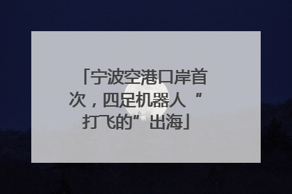 宁波空港口岸首次，四足机器人“打飞的”出海