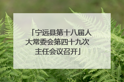 宁远县第十八届人大常委会第四十九次主任会议召开