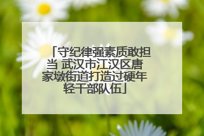 守纪律强素质敢担当 武汉市江汉区唐家墩街道打造过硬年轻干部队伍