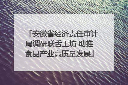 安徽省经济责任审计局调研联舌工坊 助推食品产业高质量发展