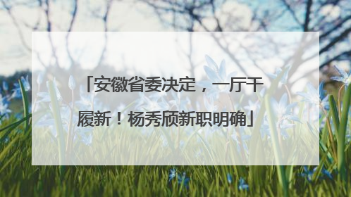 安徽省委决定，一厅干履新！杨秀颀新职明确