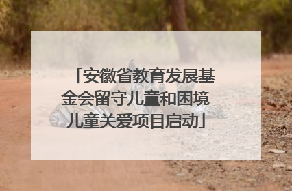 安徽省教育发展基金会留守儿童和困境儿童关爱项目启动