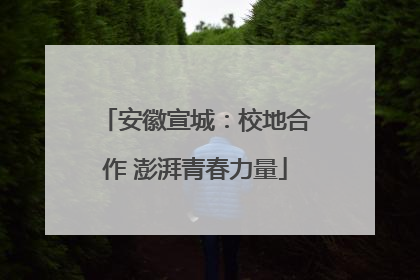 安徽宣城：校地合作 澎湃青春力量