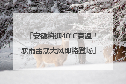 安徽将迎40℃高温！暴雨雷暴大风即将登场