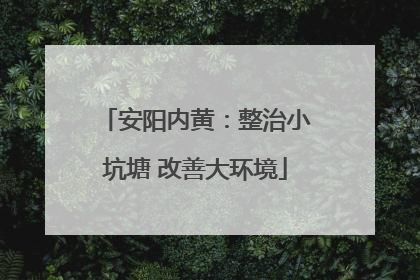 安阳内黄：整治小坑塘 改善大环境