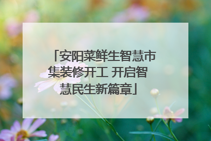 安阳菜鲜生智慧市集装修开工 开启智慧民生新篇章