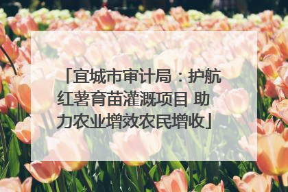 宜城市审计局：护航红薯育苗灌溉项目 助力农业增效农民增收
