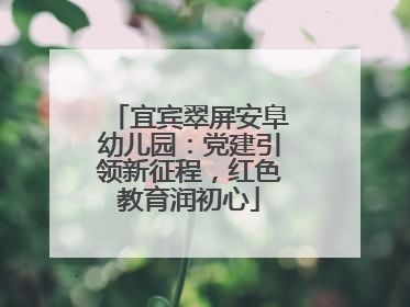 宜宾翠屏安阜幼儿园：党建引领新征程，红色教育润初心