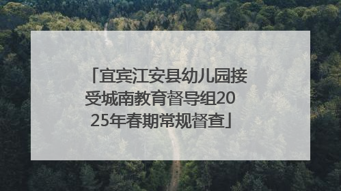 宜宾江安县幼儿园接受城南教育督导组2025年春期常规督查