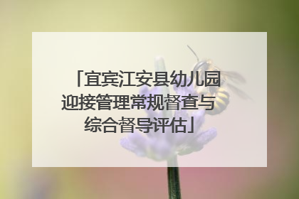 宜宾江安县幼儿园迎接管理常规督查与综合督导评估