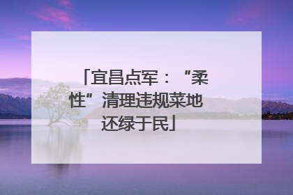 宜昌点军：“柔性”清理违规菜地 还绿于民